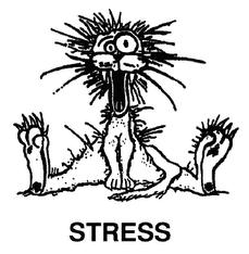 stress1